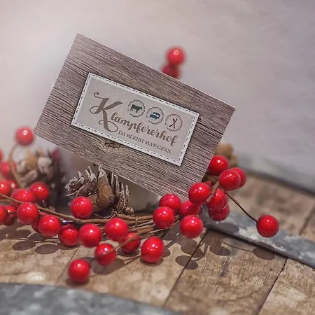 Farm stay Klampfererhof Saalfelden