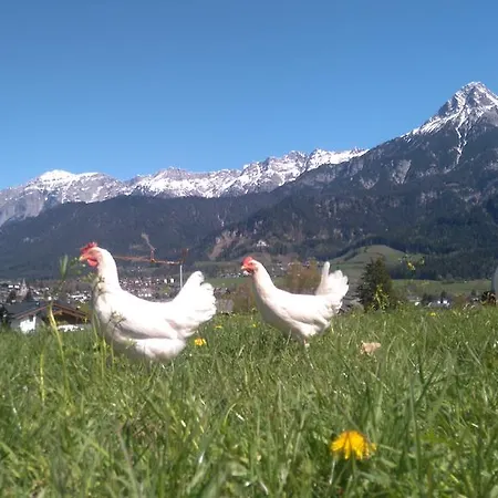 Klampfererhof Farm stay Saalfelden