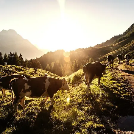 Klampfererhof Farm stay