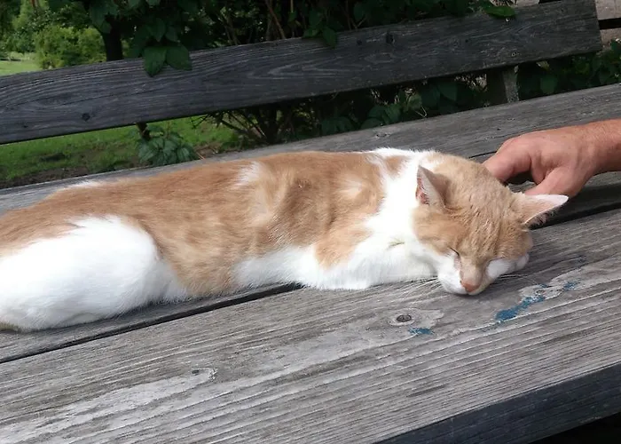 Klampfererhof * Saalfelden